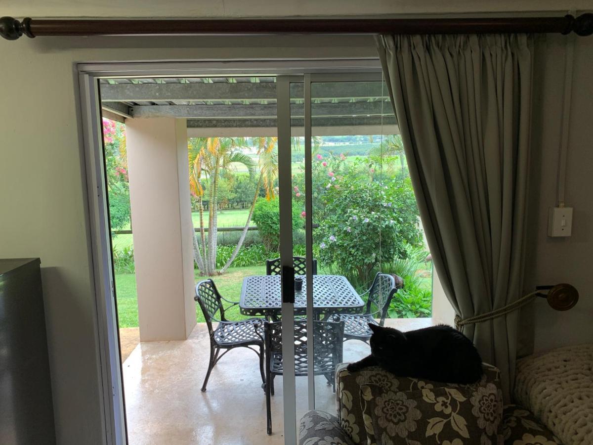 Jelani Guest House White River Extérieur photo